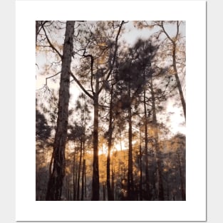 deep jungle pine tree forest Posters and Art